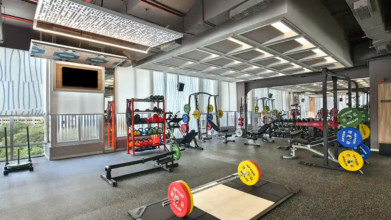 Gymnasium